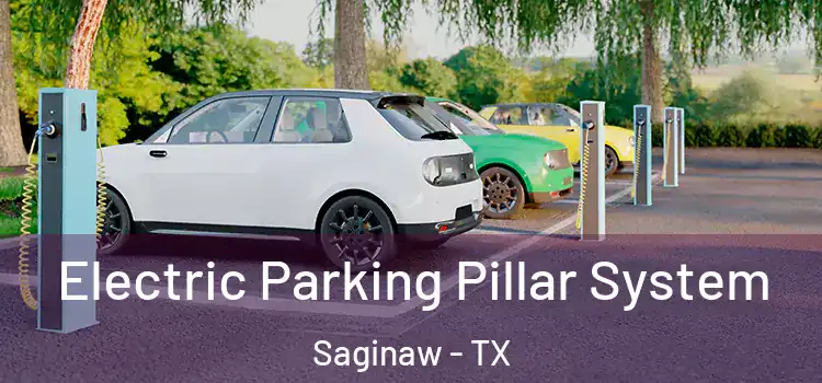  Electric Parking Pillar System Saginaw - TX
