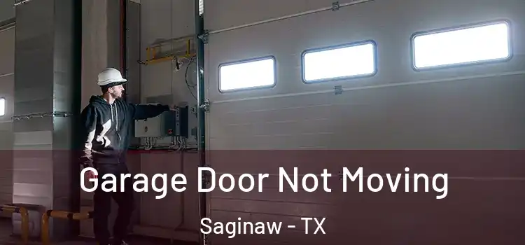 Garage Door Not Moving Saginaw - TX